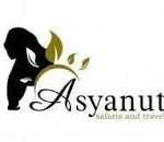 {{brizy_dc_image_alt entityId=