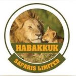 {{brizy_dc_image_alt entityId=