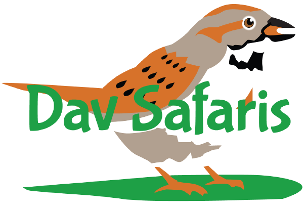 Dav Safari logo {{brizy_dc_image_alt entityId=
