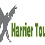 {{brizy_dc_image_alt entityId=